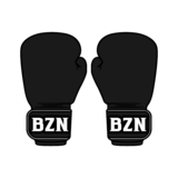 BRAZEN - Fight Gear